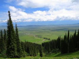 Naraty Grassland